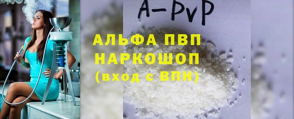 гашик Вяземский