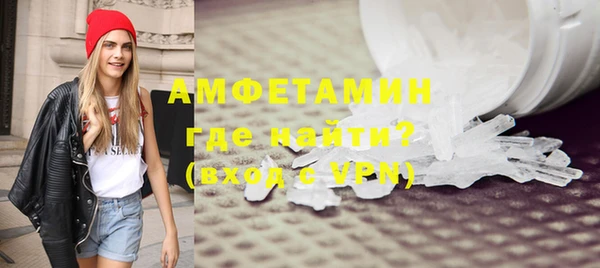 гашик Вяземский