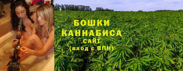 PSILOCYBIN Вязники