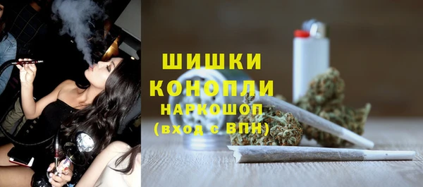 гашик Вяземский