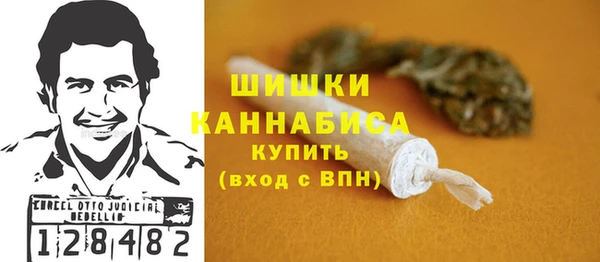 PSILOCYBIN Вязники