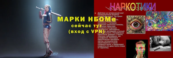 гашик Вяземский