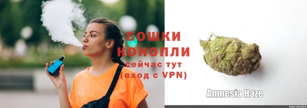 гашик Вяземский