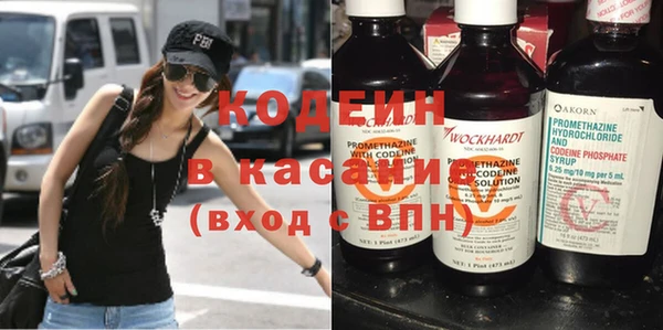 гашик Вяземский