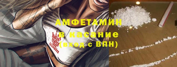 гашик Вяземский