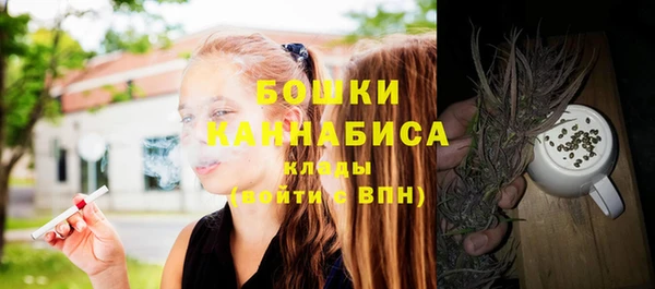 PSILOCYBIN Вязники