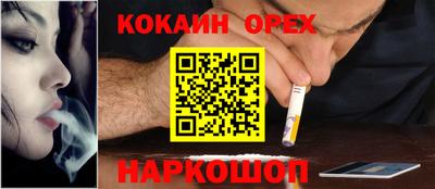 apvp Нальчик
