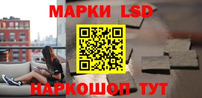 apvp Нальчик
