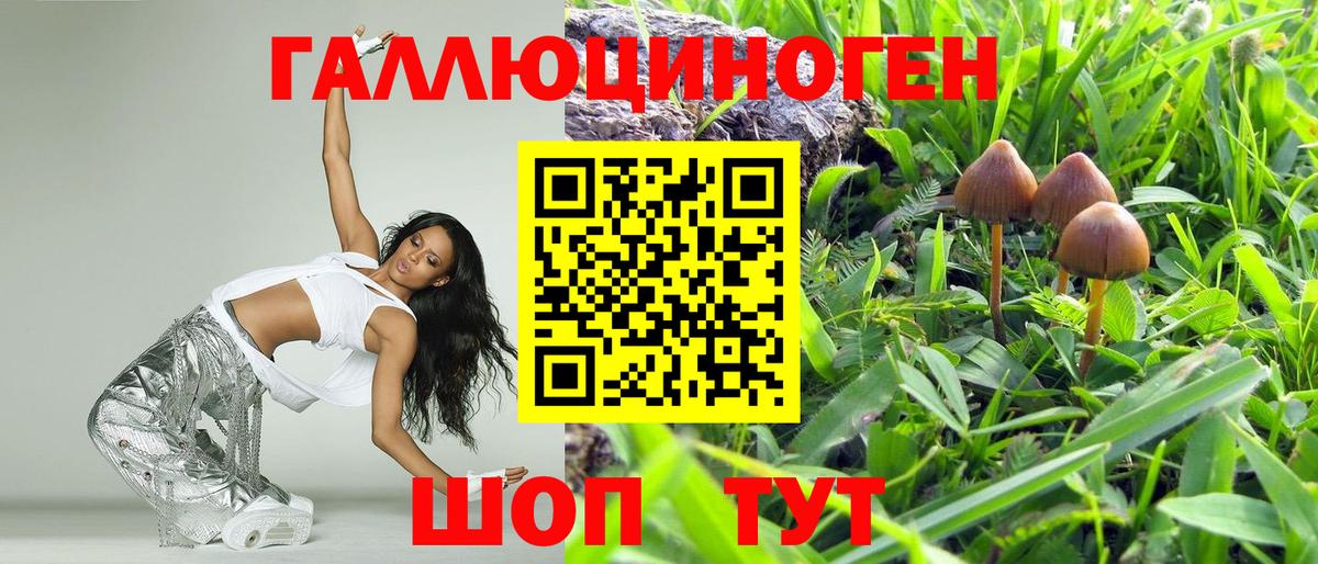Донецк  Галлюциногенные грибы мицелий  Псилоцибиновые грибы Psilocybe  Вход с VPN 