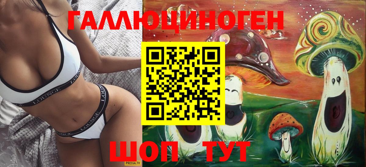 Галлюциногенные грибы Psilocybe Донецк