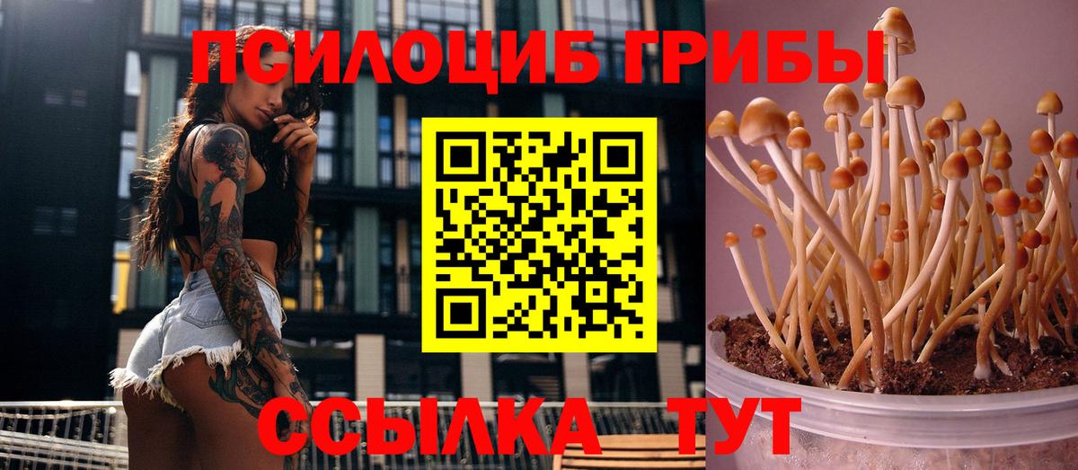 Псилоцибиновые грибы MAGIC MUSHROOMS  Вход с VPN  даркнет сайт  Донецк 