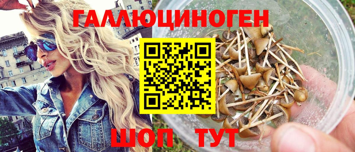 Псилоцибиновые грибы прущие грибы Донецк